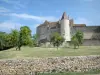 Chateauneuf-en-Auxois - N.城堡: 中世纪堡垒的视图