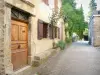 Châteauneuf-de-Mazenc - Alley lined with houses