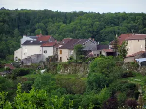 Châteauponsac - Houses, gardens and trees, in Basse-Marche (Gartempe valley)