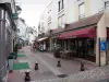 Châteauroux - Rue Grande street (shopping street) with its houses and shops