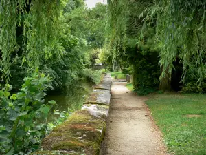 Châteauvillain - Spazierweg entlang des Flusses Aujon und Bäume am Wasserufer