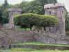 Les châteaux du Puy-de-Dôme - Château de Pontgibaud: Tours du château Dauphin et arbres