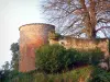 Châtillon-sur-Chalaronne - Tower of the old castle and tree with autumn colors 