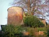 Châtillon-sur-Chalaronne - Tour du vieux château et arbre aux couleurs de l'automne