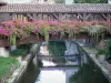 Châtillon-sur-Chalaronne - Gateway bloemen (bloemen) over de rivier Chalaronne