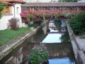 Châtillon-sur-Chalaronne - Gateway bloemen (bloemen) over de rivier Chalaronne