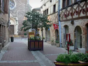 Châtillon-sur-Chalaronne - Façades de maisons, arbre en pot et église Saint-André