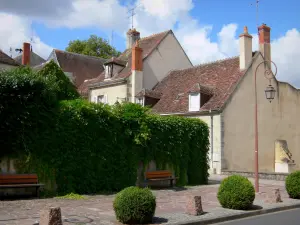 La Châtre - Casas, farolas, bancos y arbustos recortados