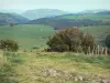 Chaudefour valleys - Shrubs in the foreground, pastures and trees; in the Auvergne Volcanic Regional Nature Park in the Massif du Sancy mountains (Monts Dore)