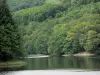 Chaumeçon lake - Artificial lake and its wooded banks; in the Morvan Regional Nature Park