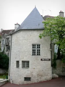 Chaumont - Arse tower