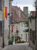 Chauvigny - Sloping narrow street of the upper town (medieval town) lined with stone houses