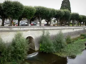 Chauvigny - Rivière Vienne, arbustes et alignement d'arbres