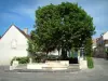 Chavignol - Small square decorated with a tree and houses of the village