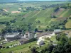 Chavignol - General view of the church and the houses in the village as well as of the hills covered with vines