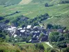 Chavignol - Houses of the village, trees and vineyards