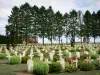 Chemin des Dames - Soldatengräber des französischen Soldatenfriedhofes von Cerny-en-Laonnois