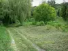 Chemin des Dames - Arboretum von Craonne an der Stelle des ehemaligen zerstörten Dorfes Craonne