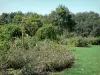 Chemins de la Rose park - Park of the rose garden, in Doué-la-Fontaine