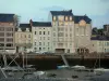 Cherbourg-Octeville - Gulls (sea birds) in foreground, moored leisure boats (port) and buildings of the city