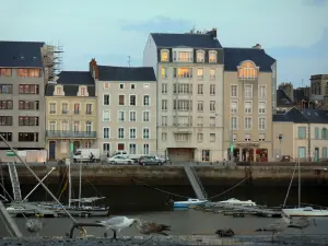 Cherbourg-Octeville - Möwen (Meeresvögel) vorne, angemachte Schiffe (Hafen) und Gebäude der Stadt