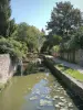 Chevreuse - Passeggiata dei ponticelli, lungo il canale Yvette