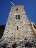 Chevreuse - Castello della Maddalena