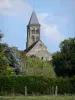 Chiesa di Saint-Menoux - Campanile della chiesa romanica di Saint-Menoux e alberi