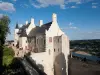 Chinon - Les logis royaux, forteresse royale de Chinon