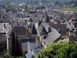 Chinon - View of the roofs of houses