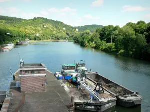 Chiuse d'Amfreville - Chiatte intorno alle serrature Amfreville-by-the-Monti, Senna, e le banche verdi, nella valle della Senna