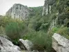 Chouvigny gorges - Sioule gorges: rocks, vegetation and rock faces (cliffs)