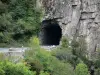 Chouvigny gorges - Sioule gorges: tunnel, road of the gorges and trees