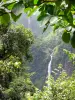 Chutes du Carbet - Vue sur les première et deuxième chutes d'eau du Carbet dans un environnement naturel verdoyant