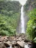 Chutes du Carbet - Deuxième chute d'eau du Carbet, végétation tropicale et rivière serpentant entre les rochers ; dans le Parc National de la Guadeloupe