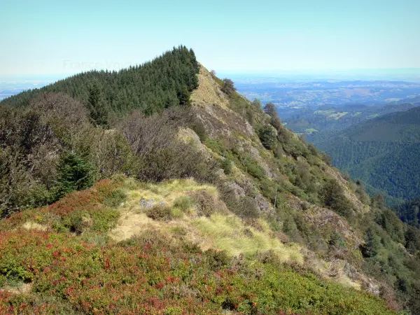 Cima de Portel - Cima de Portel, cubierto de árboles y vegetación, con vistas al paisaje de los alrededores, en el Parque Natural Regional de los Pirineos de Ariège