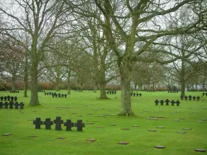 Cimetière allemand de La Cambe - Tombes du cimetière militaire allemand et arbres