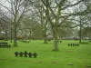 Cimitero tedesco de La Cambe - Tombe di cimitero militare tedesco e gli alberi