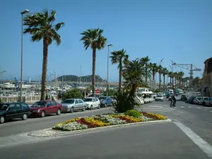 La Ciotat - Avenue ornée de palmiers longeant le port