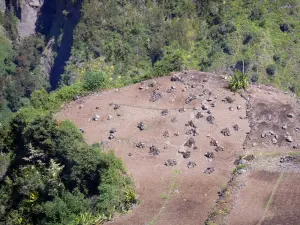 Circo de Cilaos - Las rocas y la vegetación