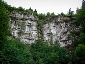 Circo de Consolation - Paredes de roca y árboles