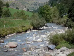 Circo di Gavarnie - Paesaggio durante la salita del circo: Gave (fiume) delimitata da arbusti e alberi nel Parco Nazionale dei Pirenei