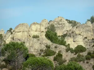 Circo di Mourèze - Cirque dolomitica: rock (rock), alberi e arbusti