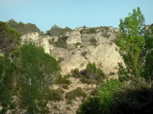 Circo di Mourèze - Cirque dolomitica: rock (rock), arbusti e alberi