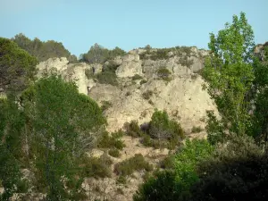 Circo de Mourèze - Cirque dolomítica: Rock (rock), arbustos y árboles