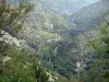Circo di Navacelles - Anfiteatro naturale affacciato sul (anfiteatro naturale), il canyon della vite (Avvitare la gola)