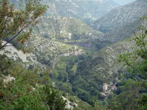 Circo de Navacelles - Anfiteatro natural con vista a la (anfiteatro natural), el cañón del tornillo (tornillo de la garganta)