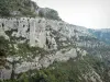 Circo de Navacelles - La piedra caliza acantilados (paredes de roca) y la vegetación natural del circo