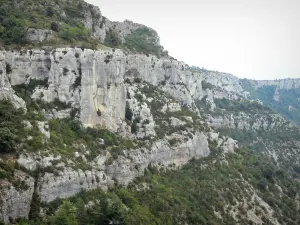 Circo de Navacelles - La piedra caliza acantilados (paredes de roca) y la vegetación natural del circo