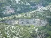 Circo di Navacelles - Scogliere calcaree (pareti di roccia) e la vegetazione naturale del circo